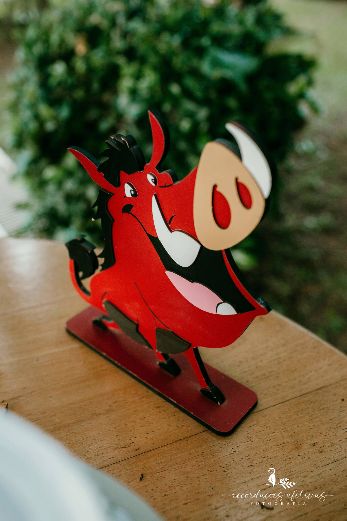 Aniversário Infantil com tema O Rei Leão, realizado no condomínio Terras de São José, em Itu - SP