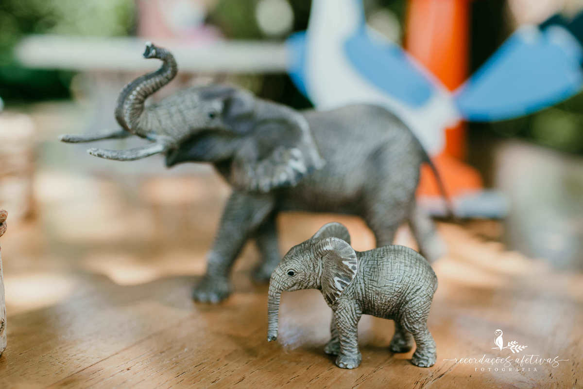 Aniversário Infantil com tema O Rei Leão, realizado no condomínio Terras de São José, em Itu - SP