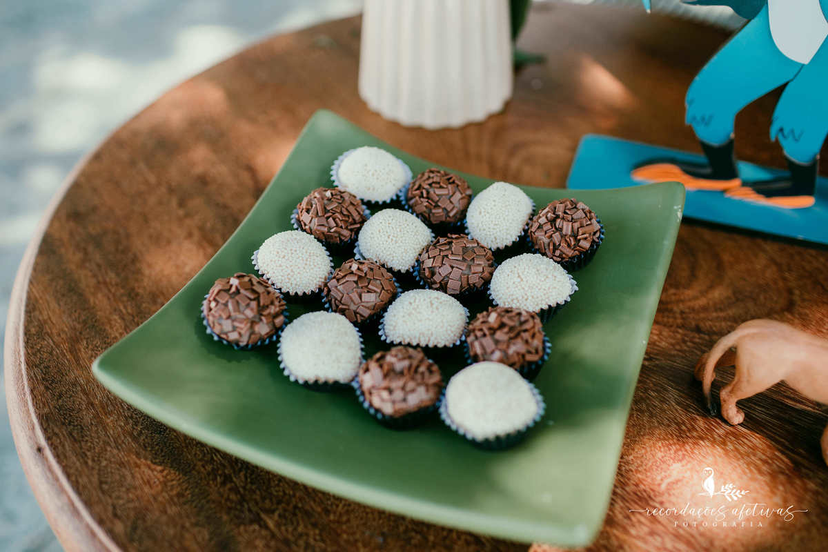 Aniversário Infantil com tema O Rei Leão, realizado no condomínio Terras de São José, em Itu - SP