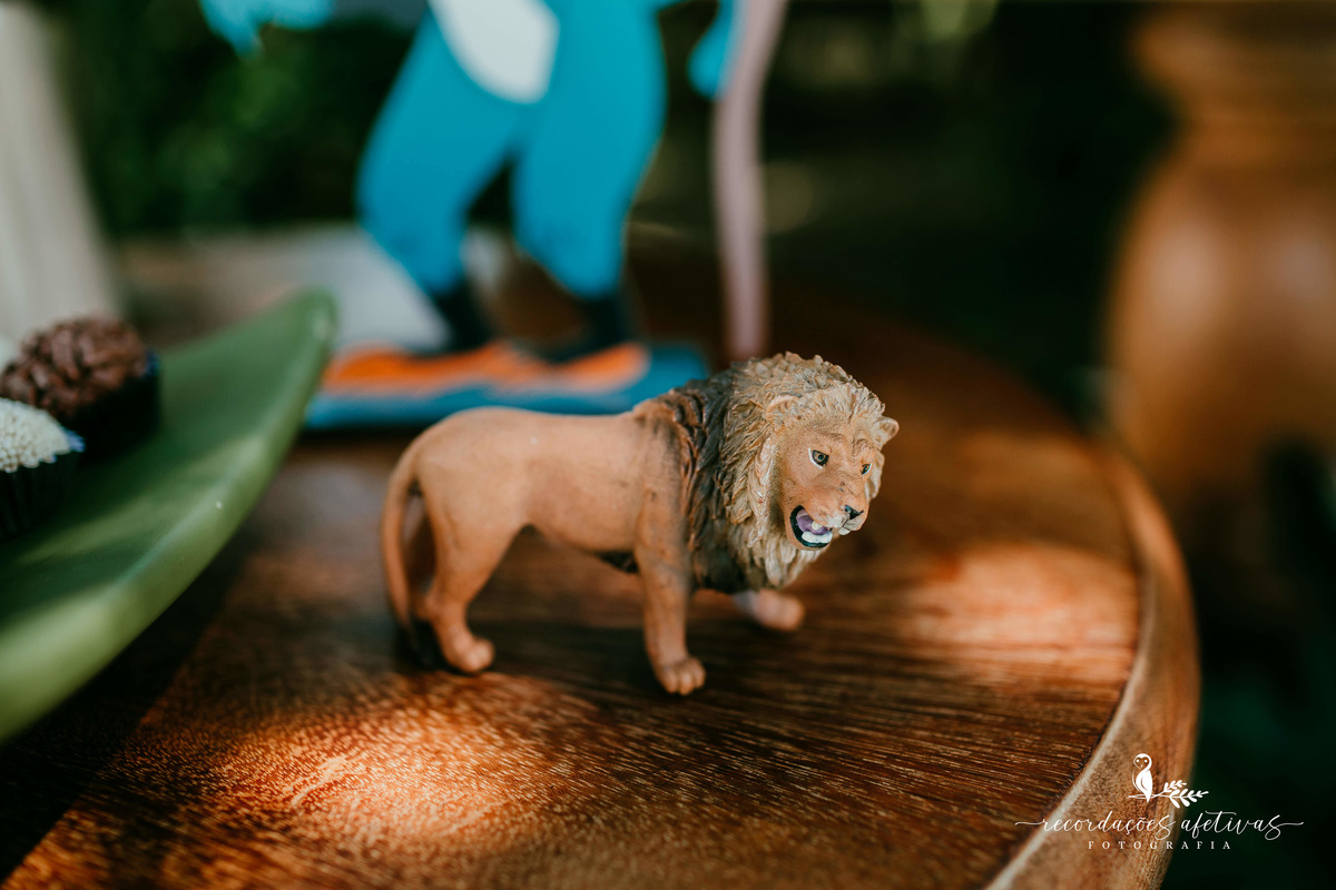 Aniversário Infantil com tema O Rei Leão, realizado no condomínio Terras de São José, em Itu - SP