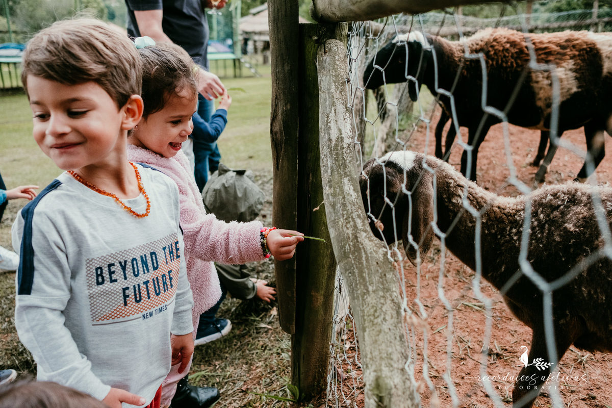 Aniversário Infantil de Trigêmeos, com tema Mickey, realizado na Fazendinha Santa Adélia, no Roteiro do Vinho, em São Roque - SP