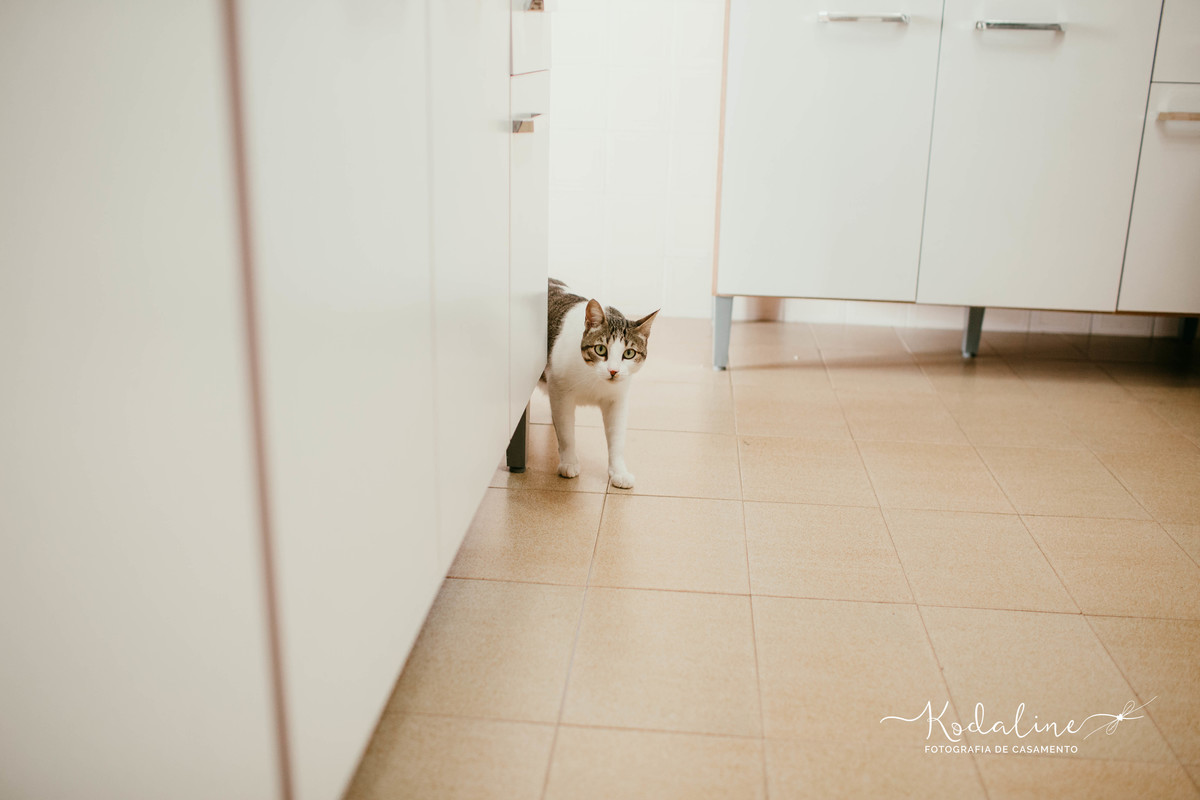 Casamento Civil realizado em Sorocaba - SP com ensaio do casal realizado em casa, junto com seus gatinhos de estimação