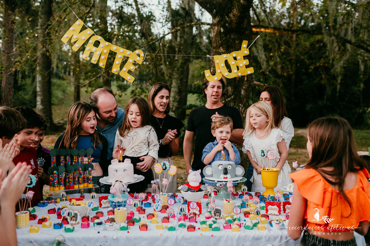 Aniversário Infantil com Tema do Filme Sing realizado em Mairinque - SP