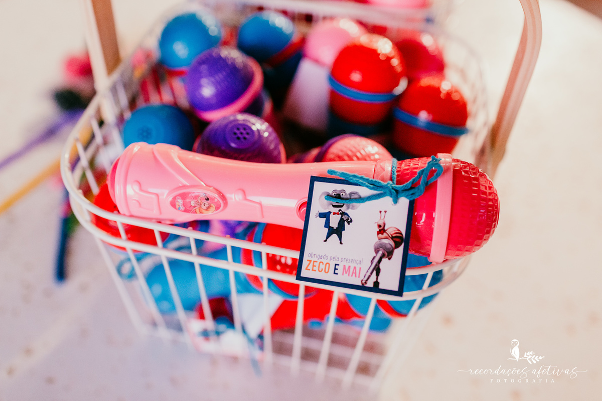 Aniversário Infantil com Tema do Filme Sing realizado em Mairinque - SP