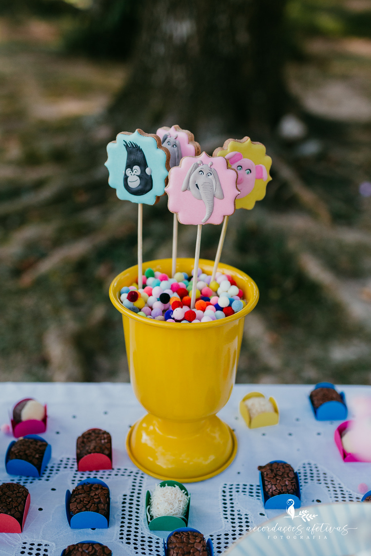 Aniversário Infantil com Tema do Filme Sing realizado em Mairinque - SP
