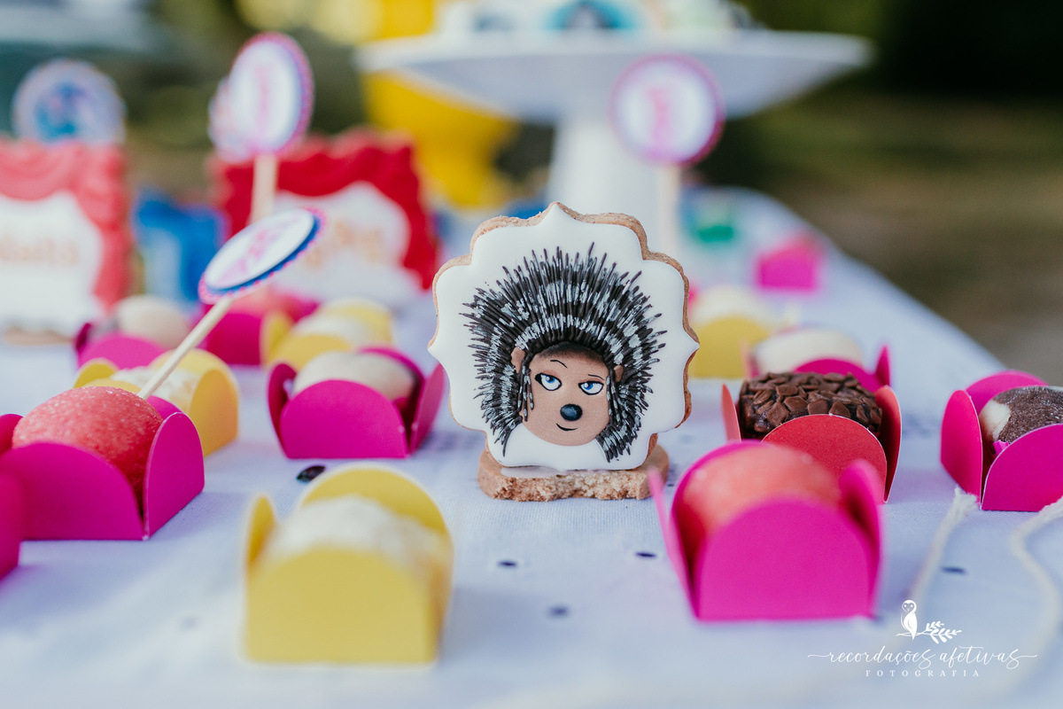 Aniversário Infantil com Tema do Filme Sing realizado em Mairinque - SP