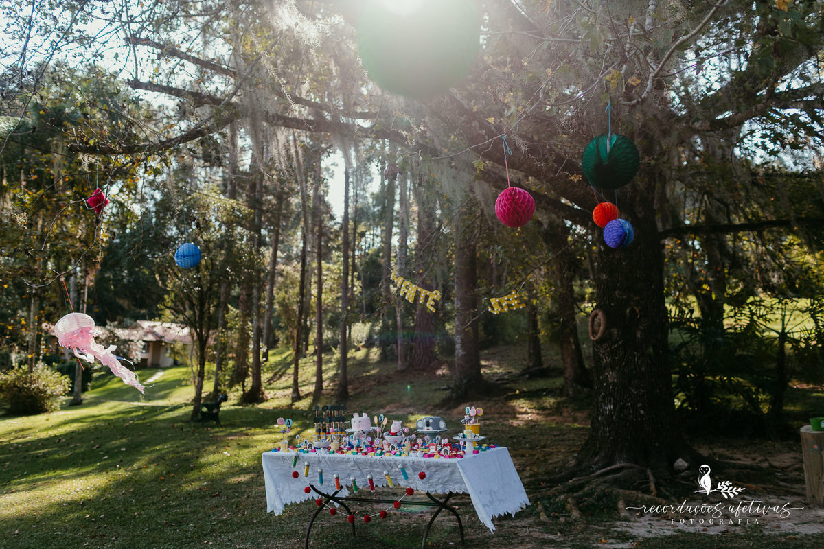 Aniversário Infantil com Tema do Filme Sing realizado em Mairinque - SP