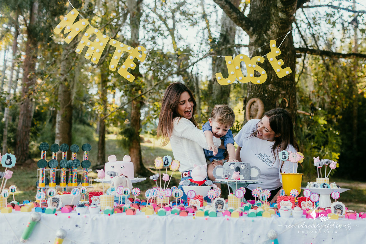 Aniversário Infantil com Tema do Filme Sing realizado em Mairinque - SP