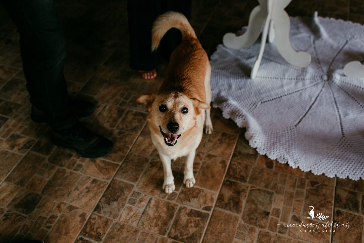Batizado realizado na Paróquia São João Batista, São João Novo em São Roque