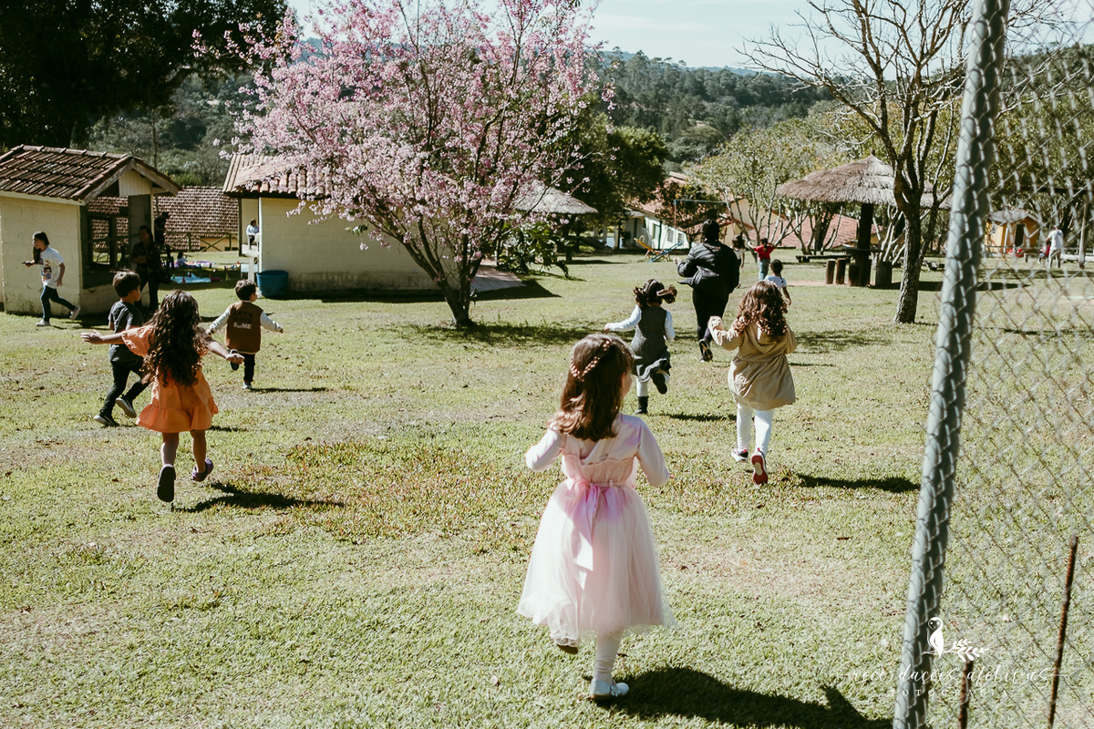 Aniversário de menina com tema ballet realizado na Fazendinha Santa Adelia em São Roque