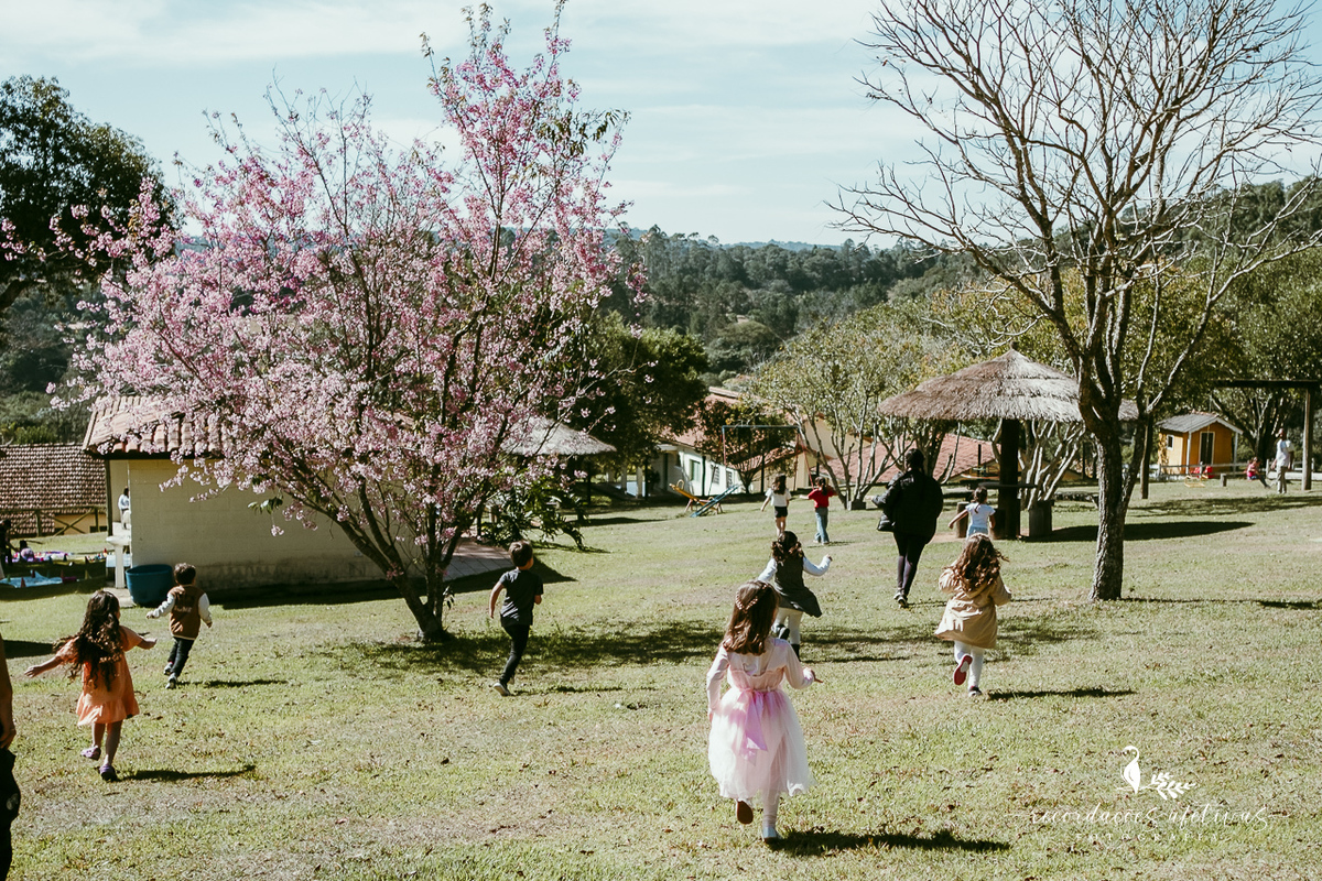 Aniversário de menina com tema ballet realizado na Fazendinha Santa Adelia em São Roque