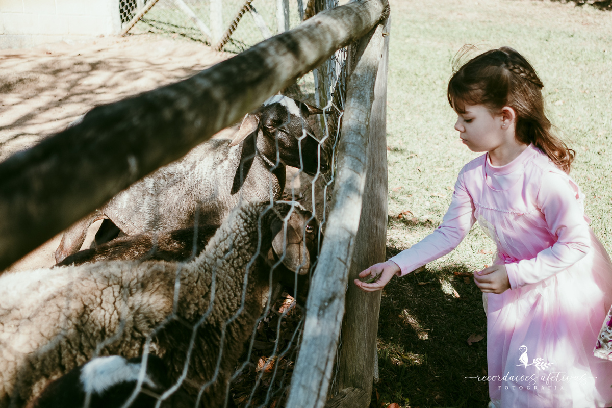Aniversário de menina com tema ballet realizado na Fazendinha Santa Adelia em São Roque
