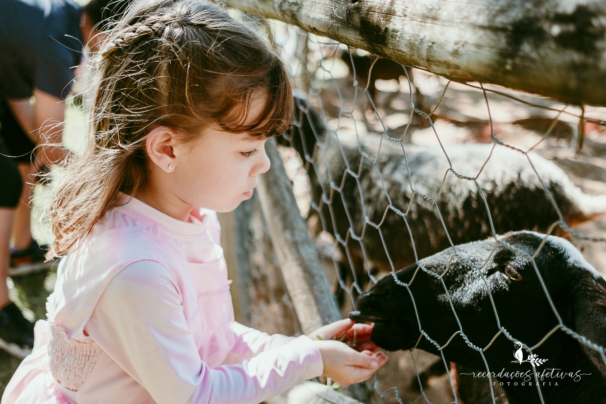 Aniversário de menina com tema ballet realizado na Fazendinha Santa Adelia em São Roque