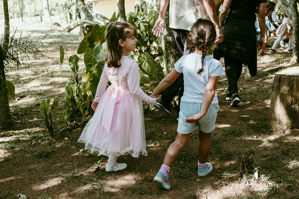 Aniversário de menina com tema ballet realizado na Fazendinha Santa Adelia em São Roque