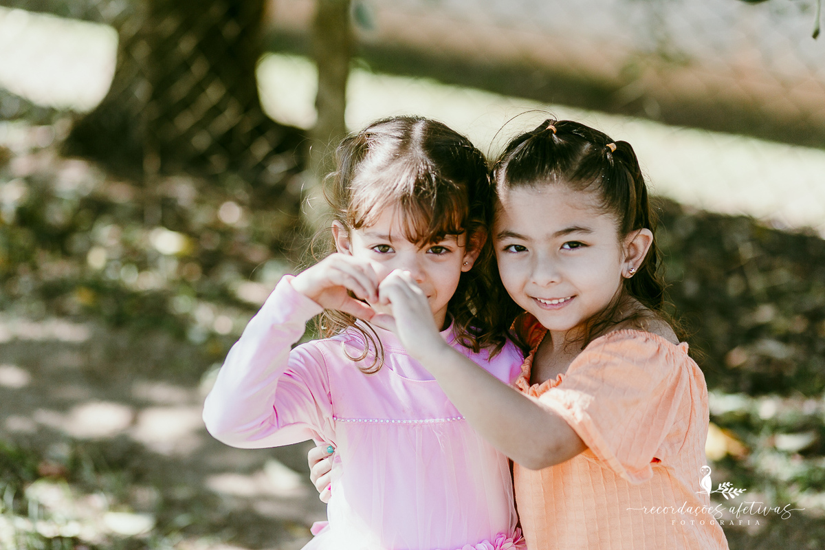 Aniversário de menina com tema ballet realizado na Fazendinha Santa Adelia em São Roque
