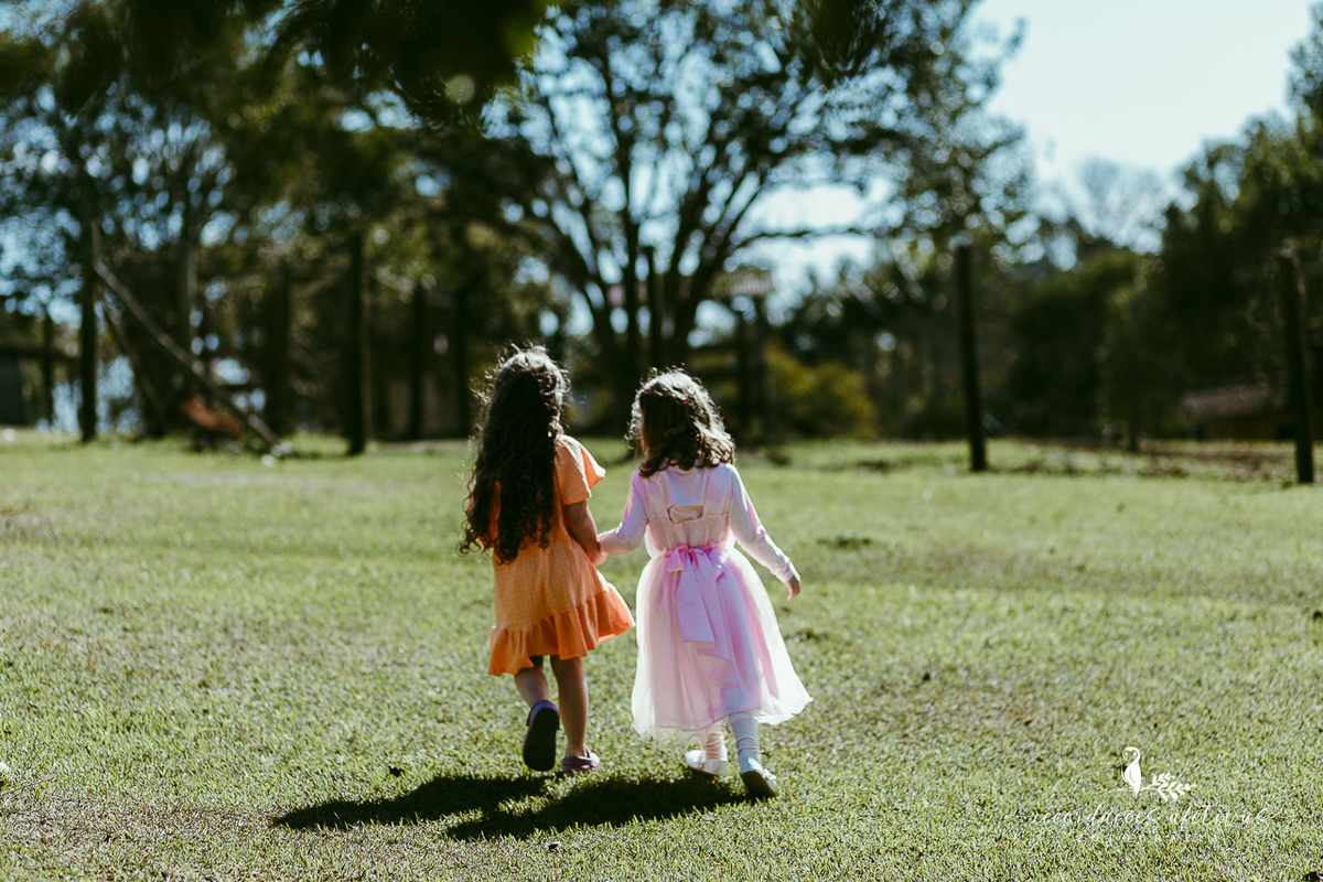 Aniversário de menina com tema ballet realizado na Fazendinha Santa Adelia em São Roque