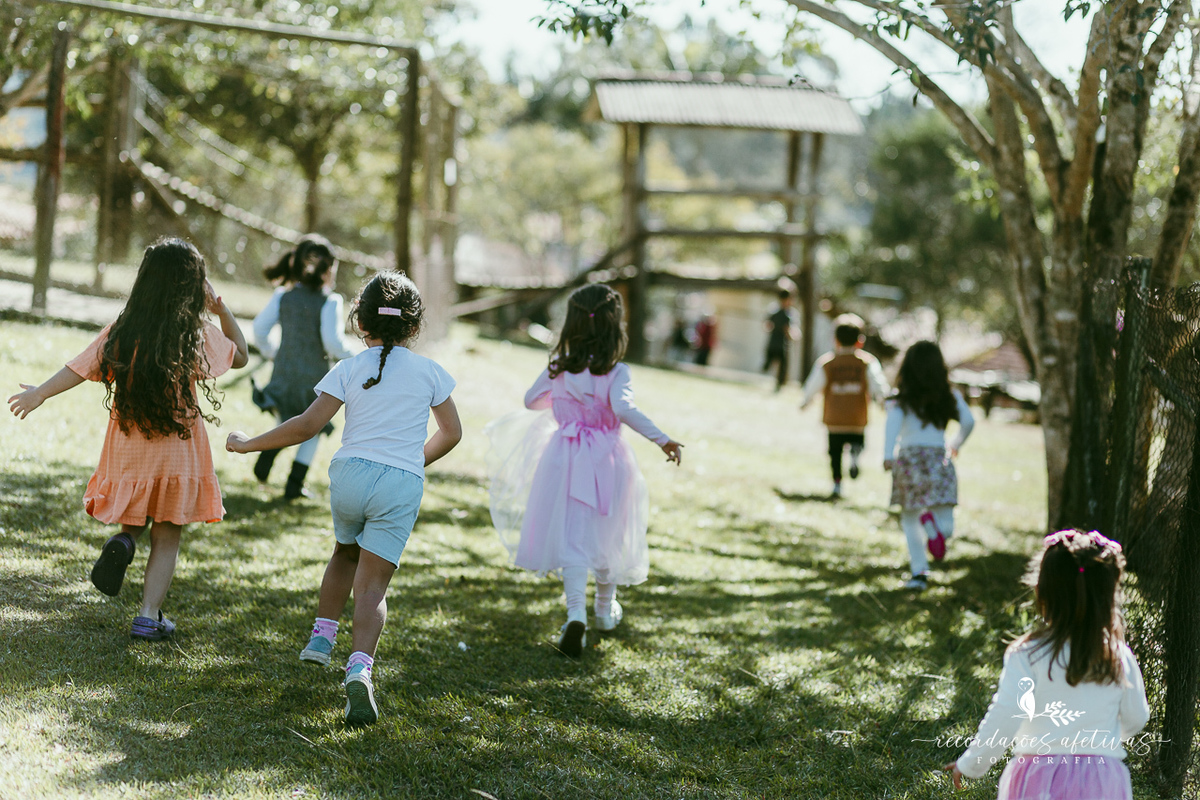 Aniversário de menina com tema ballet realizado na Fazendinha Santa Adelia em São Roque
