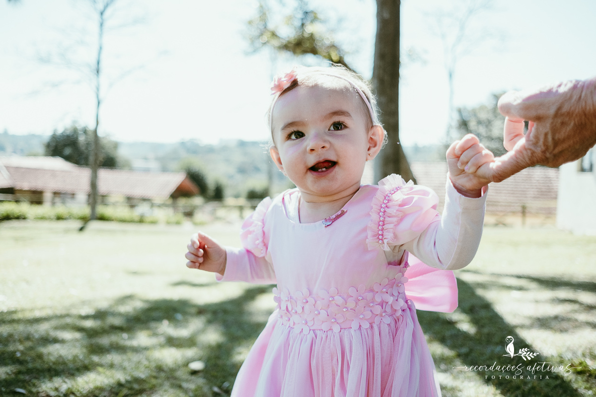 Aniversário de menina com tema ballet realizado na Fazendinha Santa Adelia em São Roque