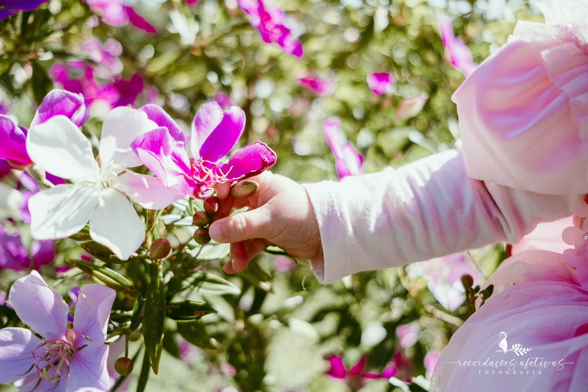 Aniversário de menina com tema ballet realizado na Fazendinha Santa Adelia em São Roque