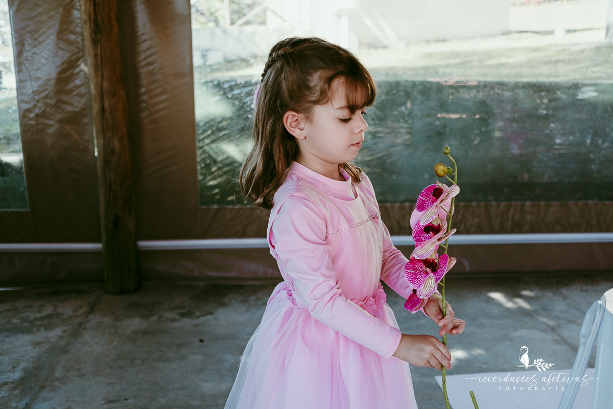 Aniversário de menina com tema ballet realizado na Fazendinha Santa Adelia em São Roque