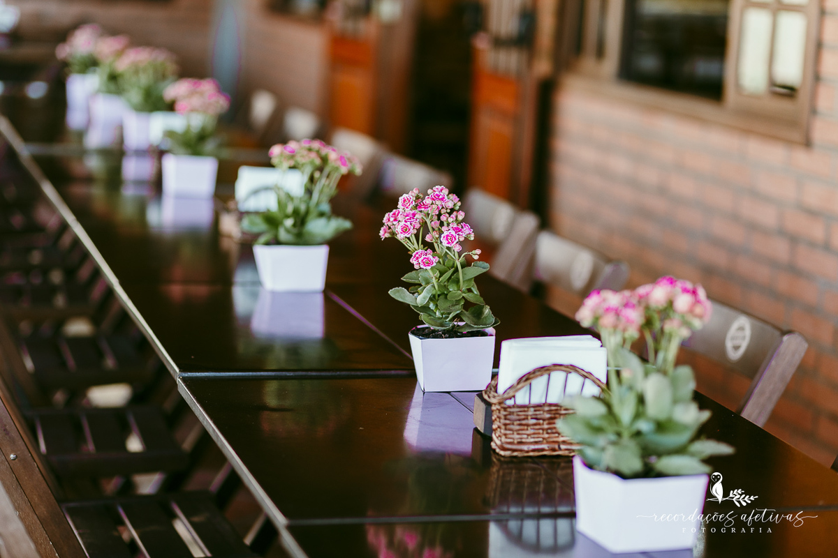 Aniversário de menina com tema ballet realizado na Fazendinha Santa Adelia em São Roque