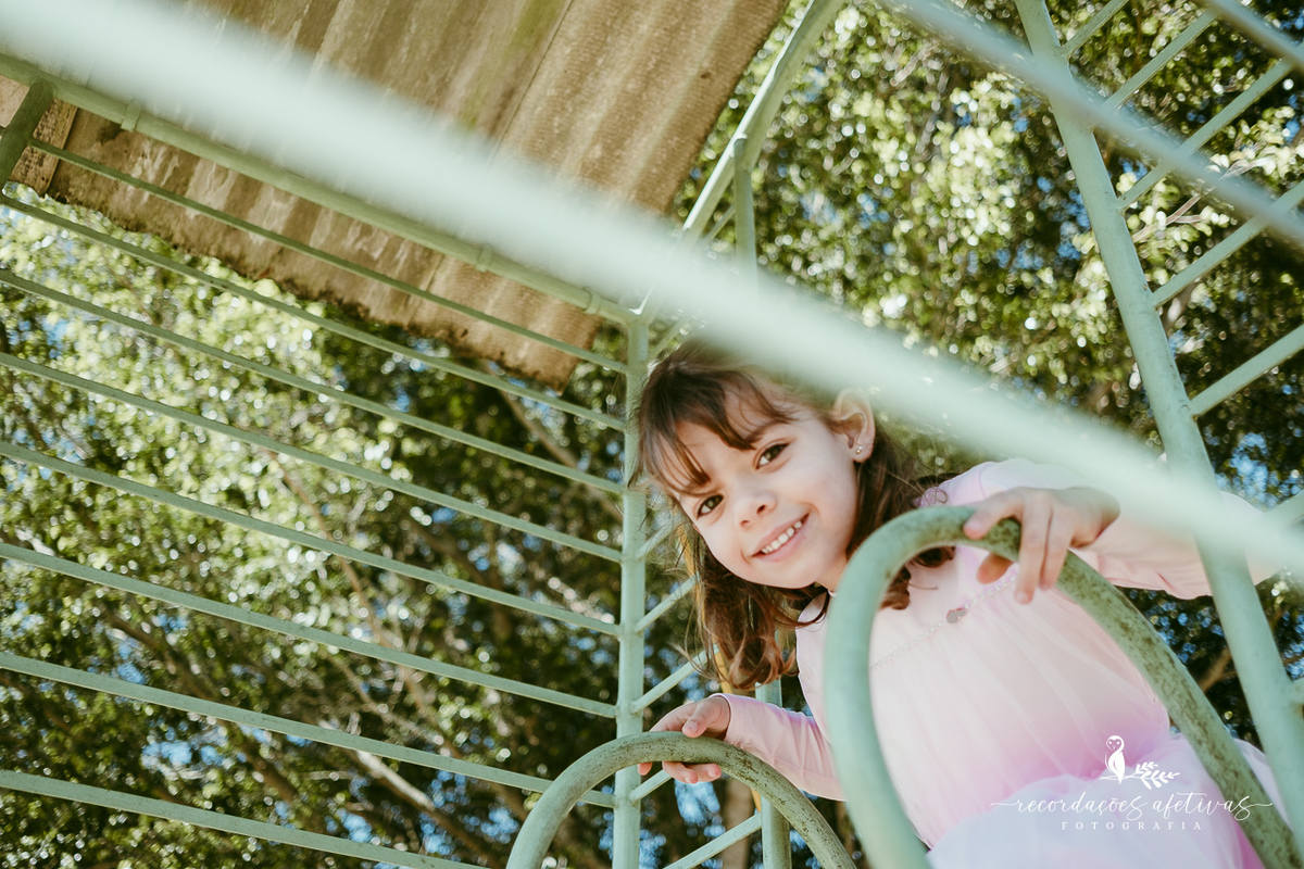 Aniversário de menina com tema ballet realizado na Fazendinha Santa Adelia em São Roque