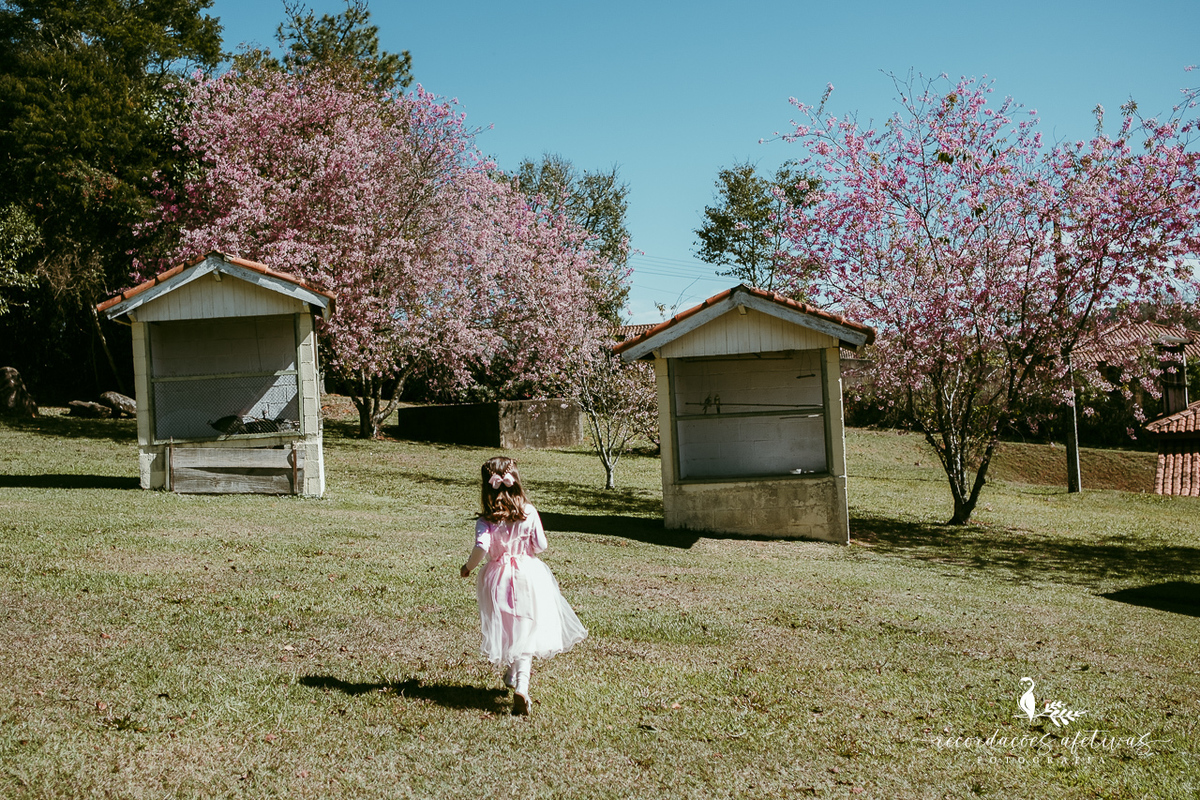 Aniversário de menina com tema ballet realizado na Fazendinha Santa Adelia em São Roque