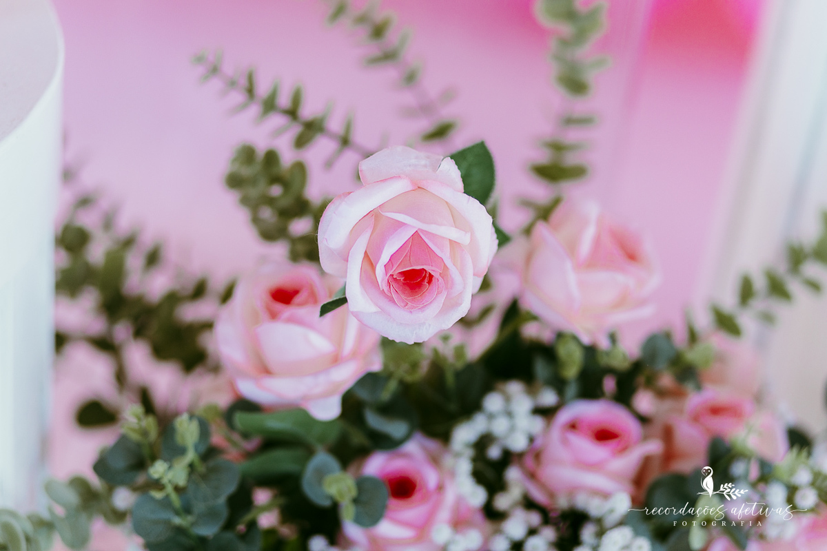 Aniversário de menina com tema ballet realizado na Fazendinha Santa Adelia em São Roque