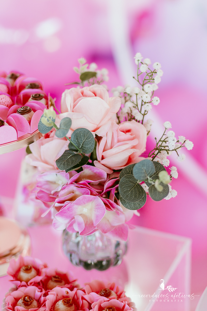 Aniversário de menina com tema ballet realizado na Fazendinha Santa Adelia em São Roque