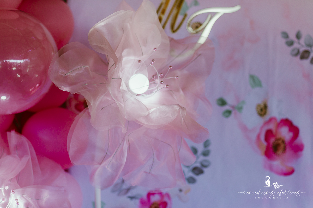 Aniversário de menina com tema ballet realizado na Fazendinha Santa Adelia em São Roque