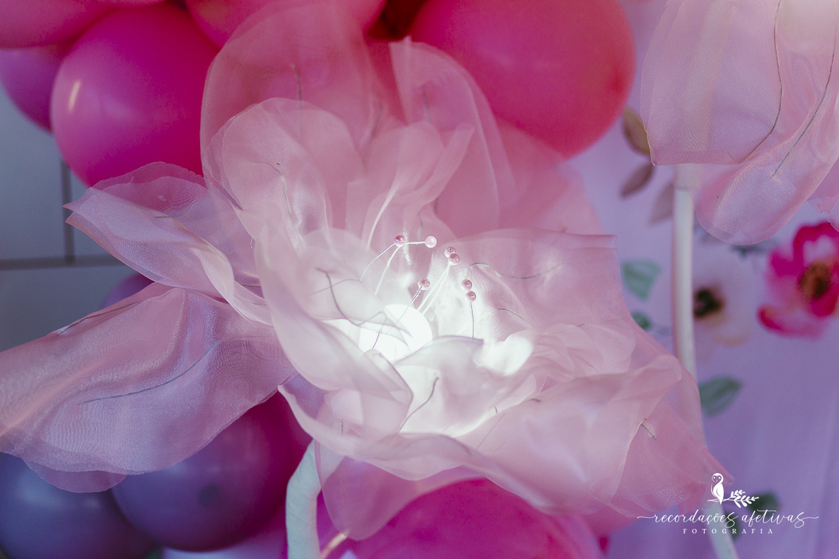 Aniversário de menina com tema ballet realizado na Fazendinha Santa Adelia em São Roque