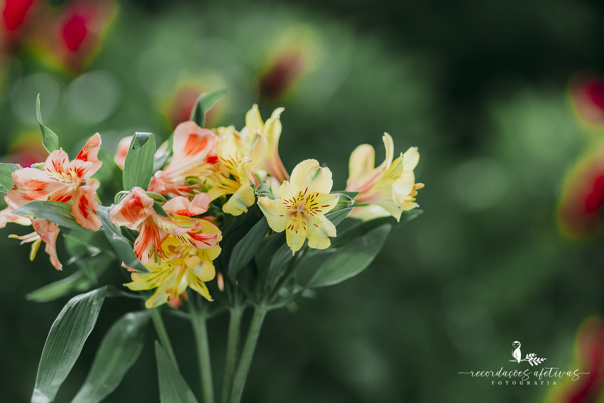 Casamento Intimista realizado no Planalto Verde em São Roque