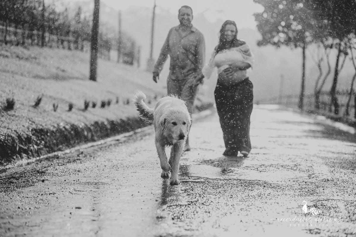 Ensaio Gestante realizado na parreira, na Vinicola Alma Galiza, em São Roque - SP