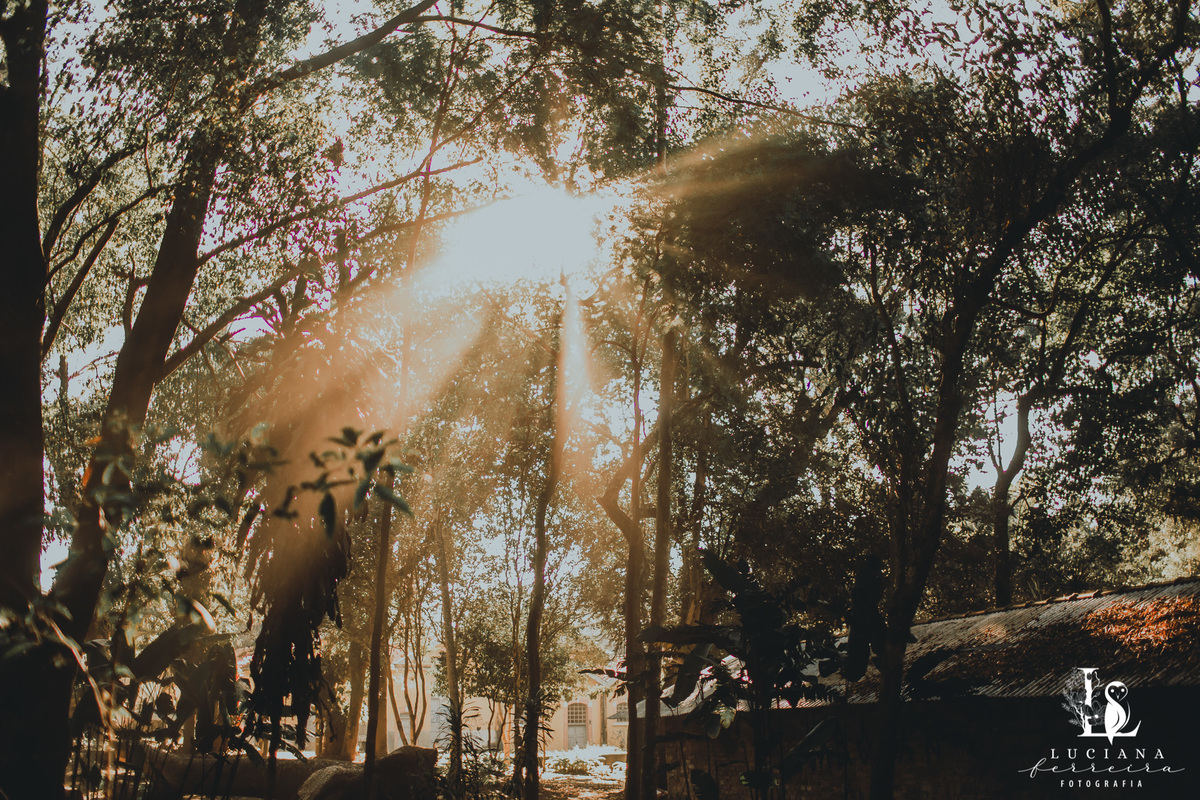 Ensaio Família 4 pessoas 2 meninas 1 pai 1 mãe felizes