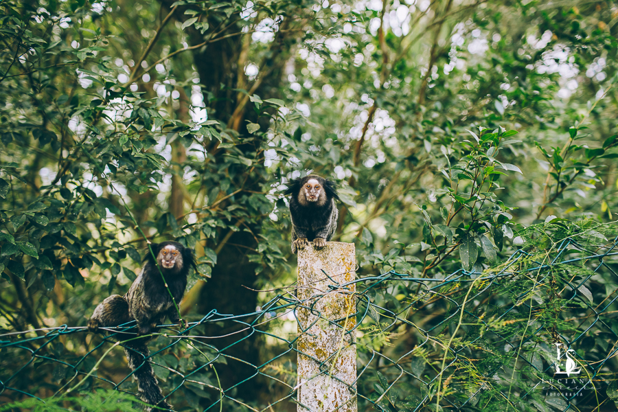 Batizado menina em São Paulo