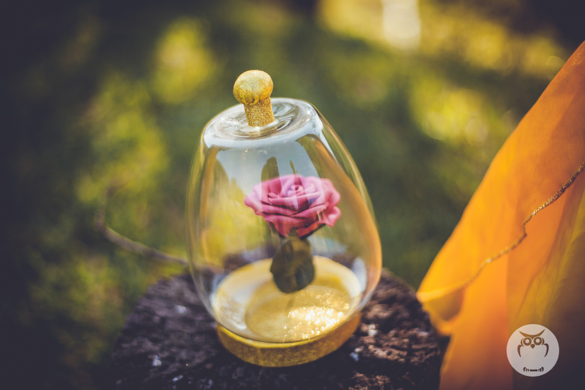 Ensaio Infantil com Tema A Bela e a Fera Disney