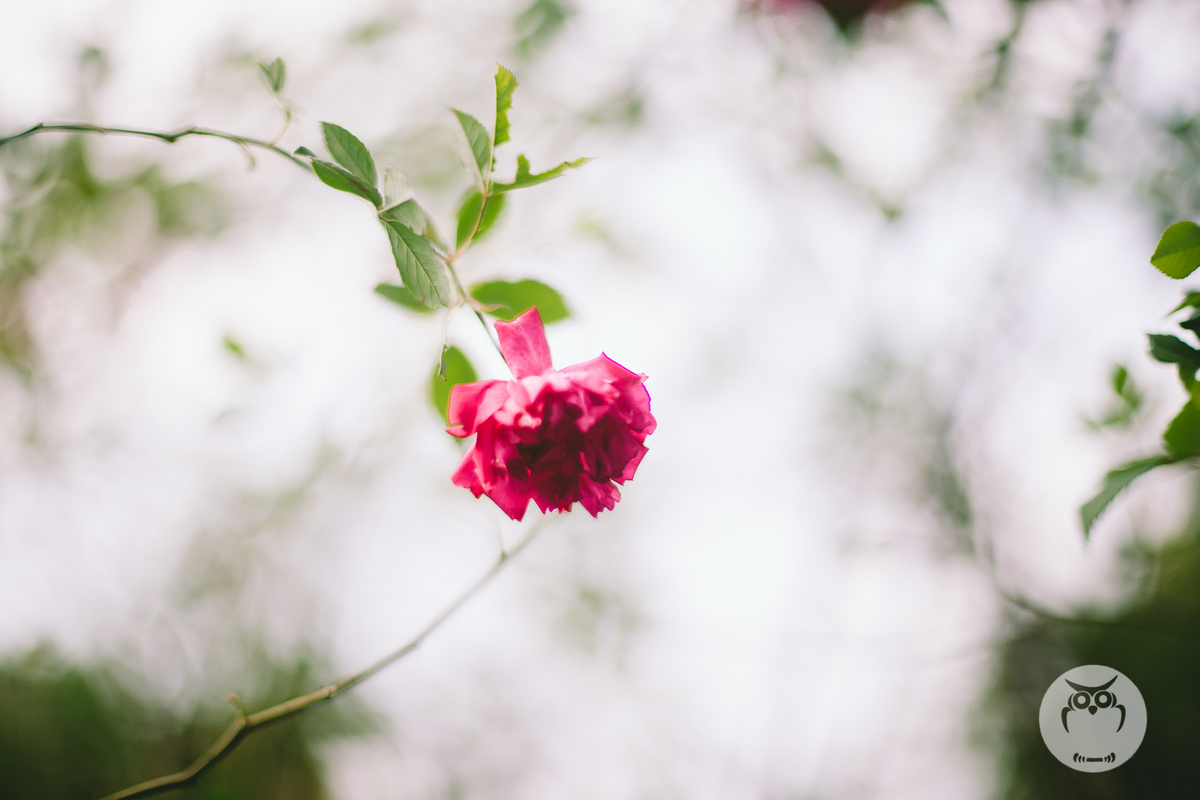 Smash the Cake menina