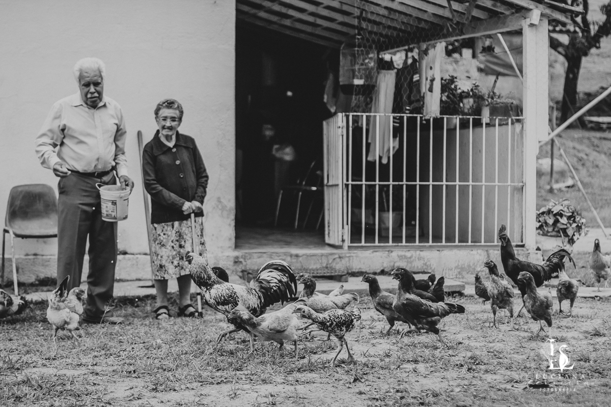 Casal de idosos com galinhas