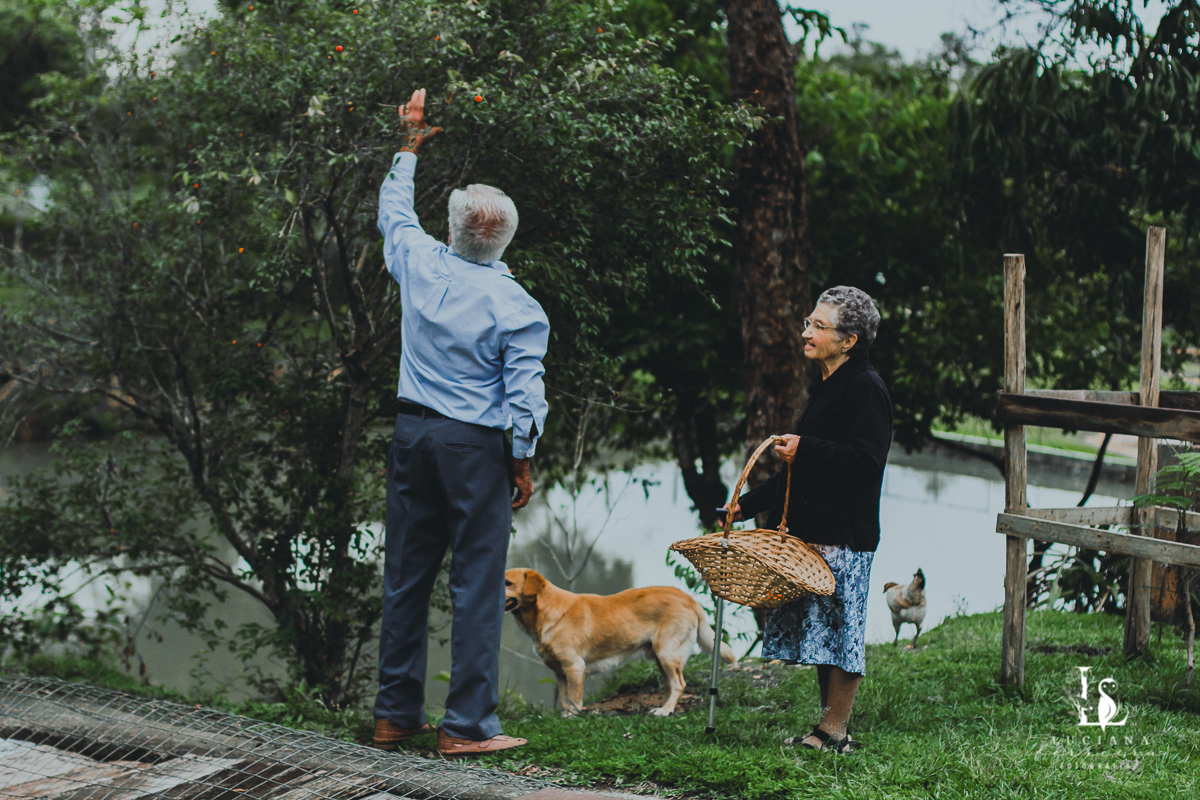 Idosos colhendo frutas com cachorro