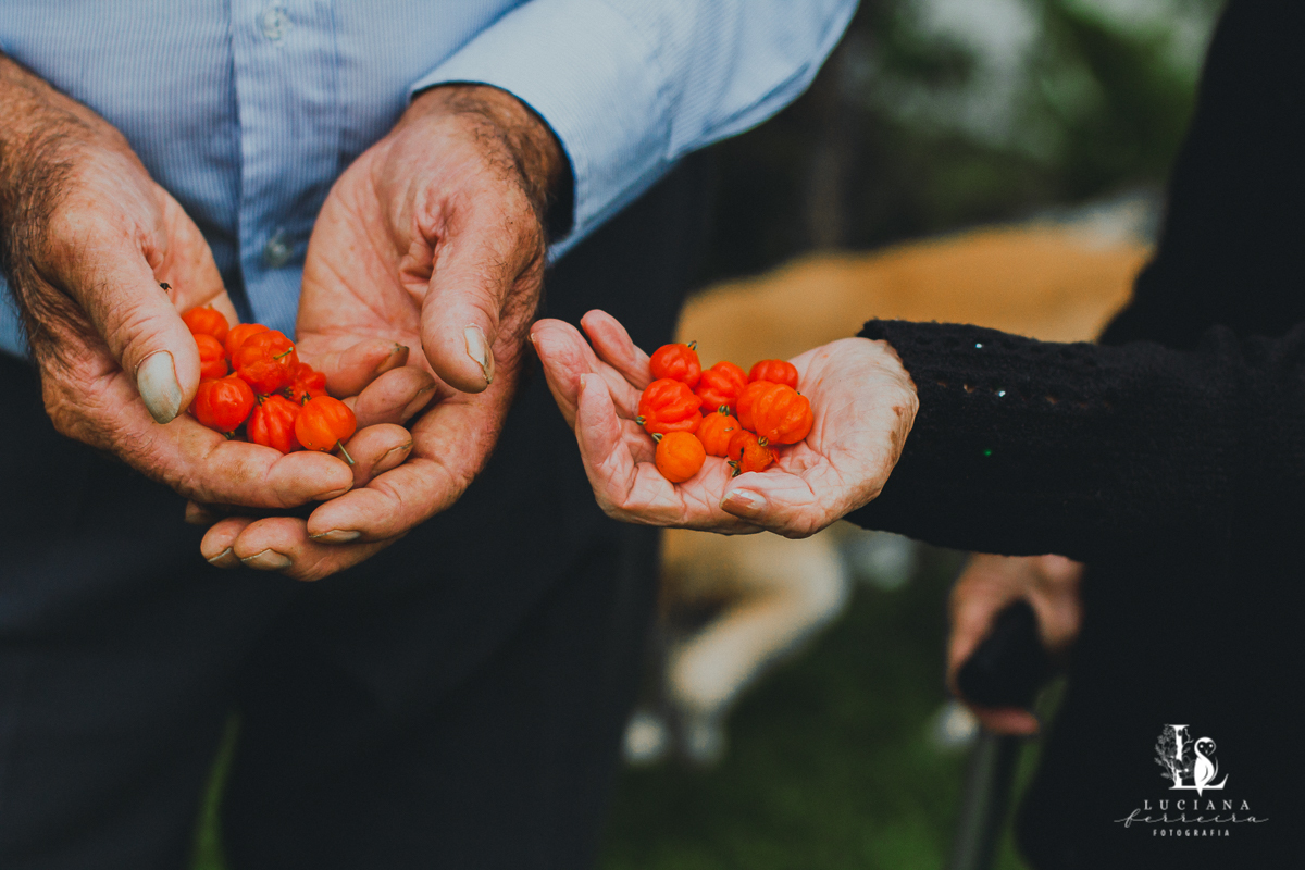 Mãos segurando pitanga