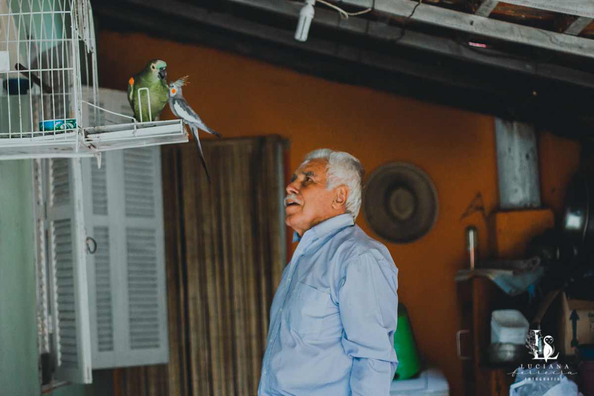 Homem olhando calopsita e papagaio