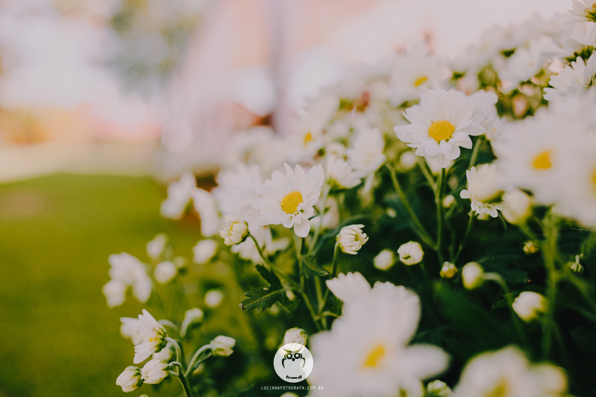 Casamento em igreja em Itu. Casamento no campo em Itu.