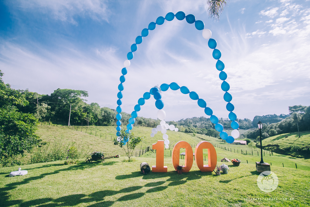 Aniversário 100 Anos com tema Horta