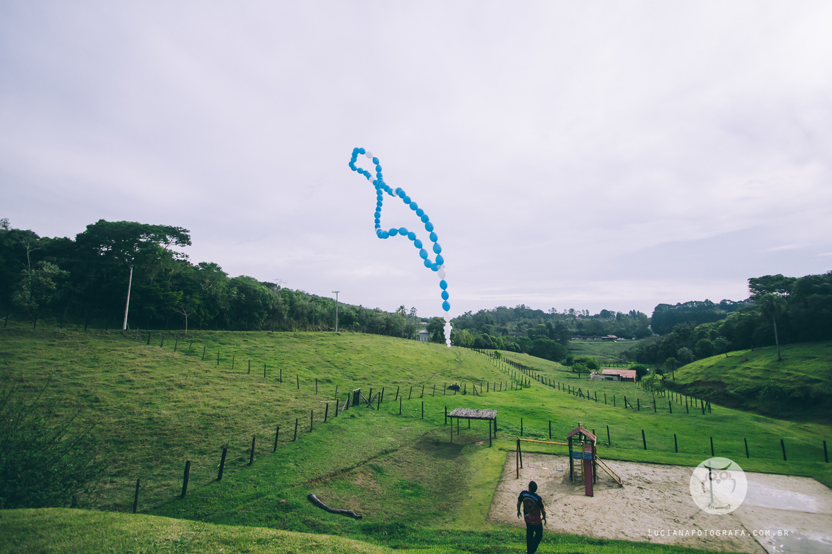 Aniversário 100 Anos com tema Horta