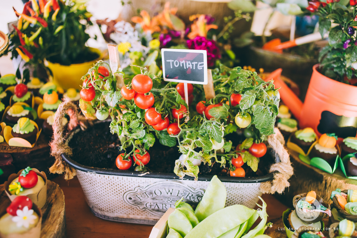 Aniversário 100 Anos com tema Horta