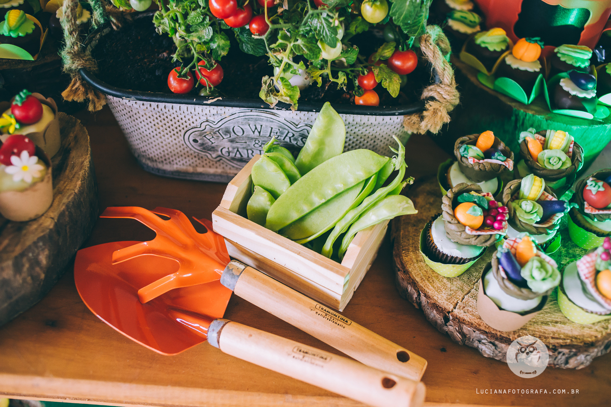 Aniversário 100 Anos com tema Horta