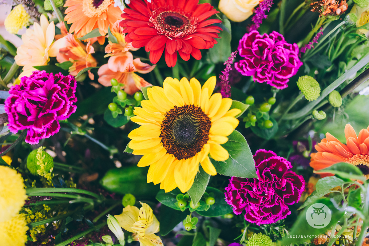Aniversário 100 Anos com tema Horta