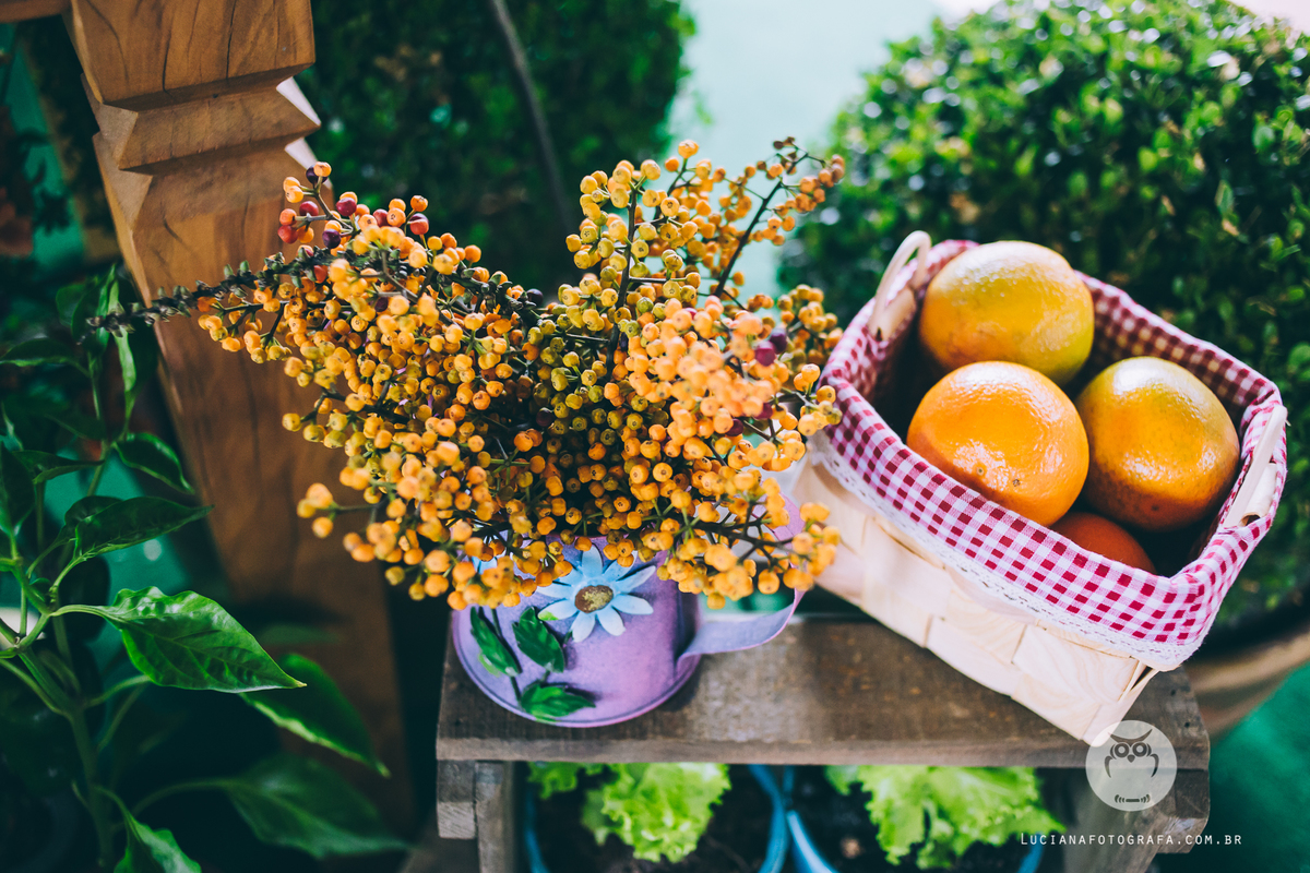 Aniversário 100 Anos com tema Horta