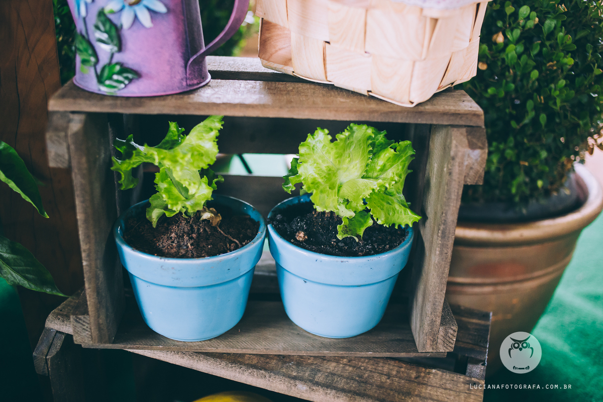 Aniversário 100 Anos com tema Horta