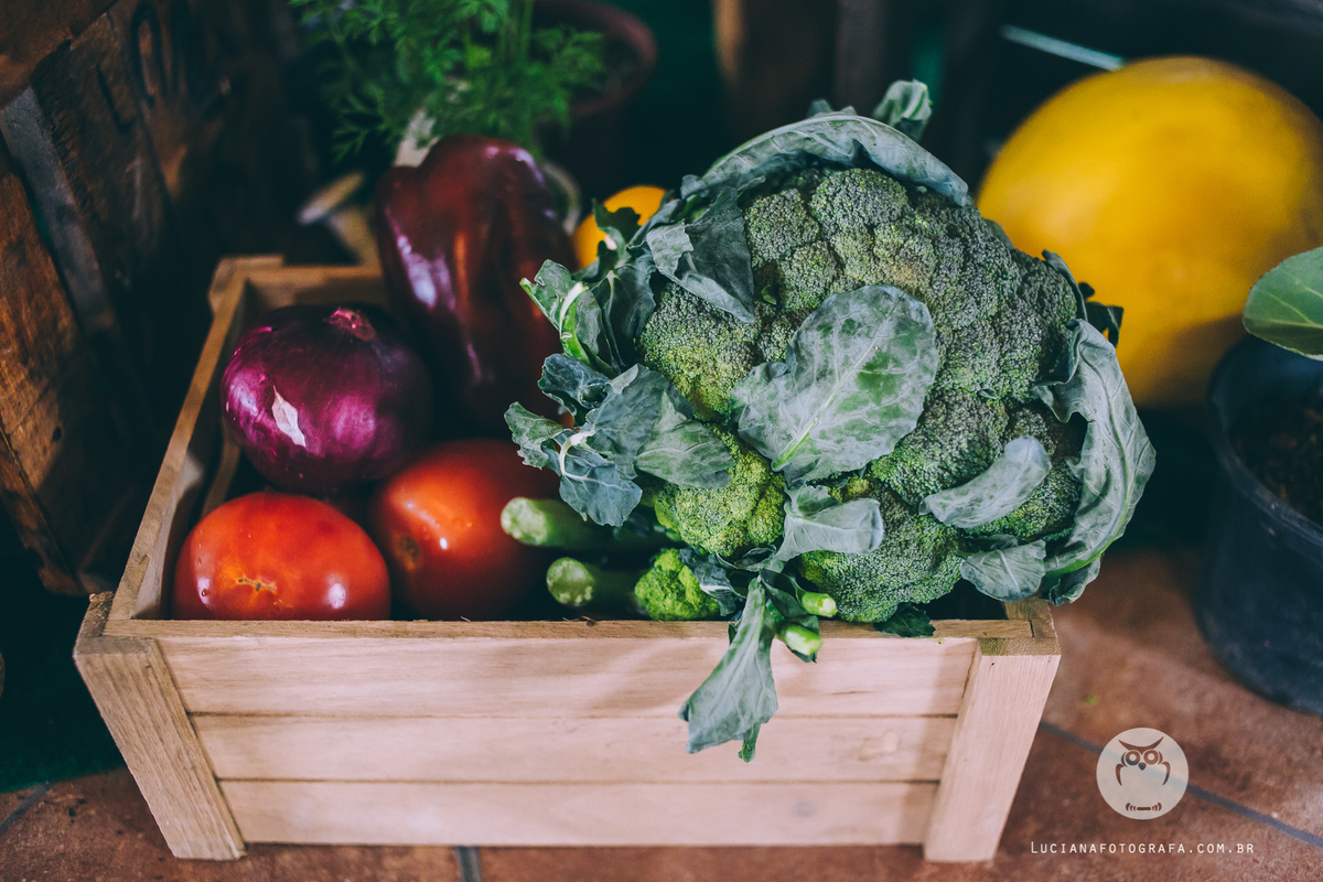 Aniversário 100 Anos com tema Horta